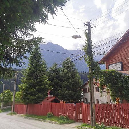 Pensiunea Fara Nume Buşteni Dış mekan fotoğraf