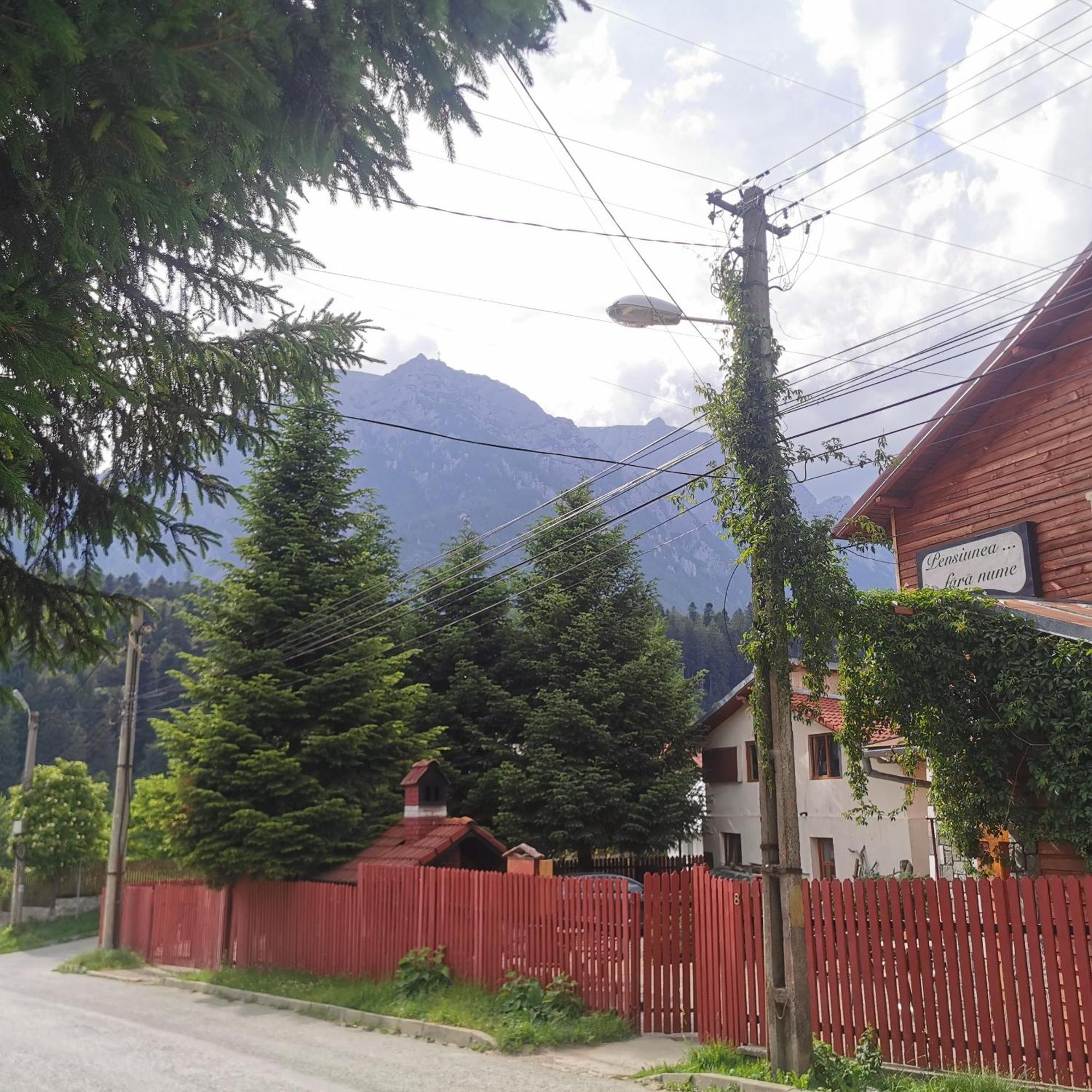 Pensiunea Fara Nume Buşteni Dış mekan fotoğraf